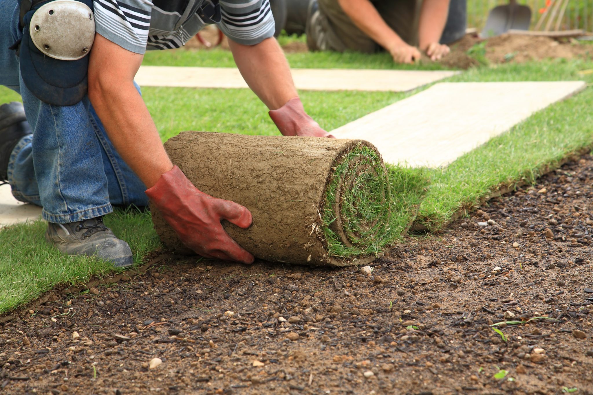 How To Start A Landscaping Business, How To Start A Landscaping Business In Texas