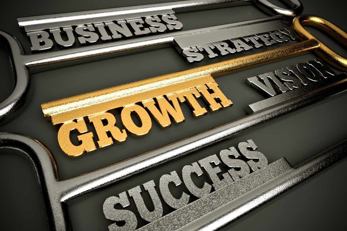 stages of new business growth
